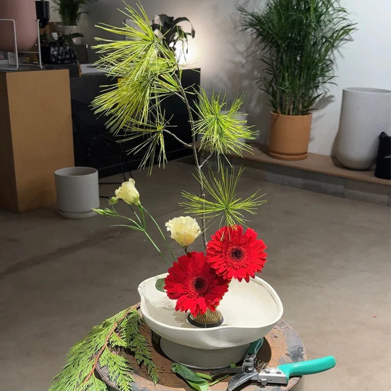 Needle Mountain Flower Arrangement Holder