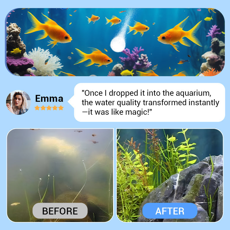 Water Purification Tablets For Fish Tank