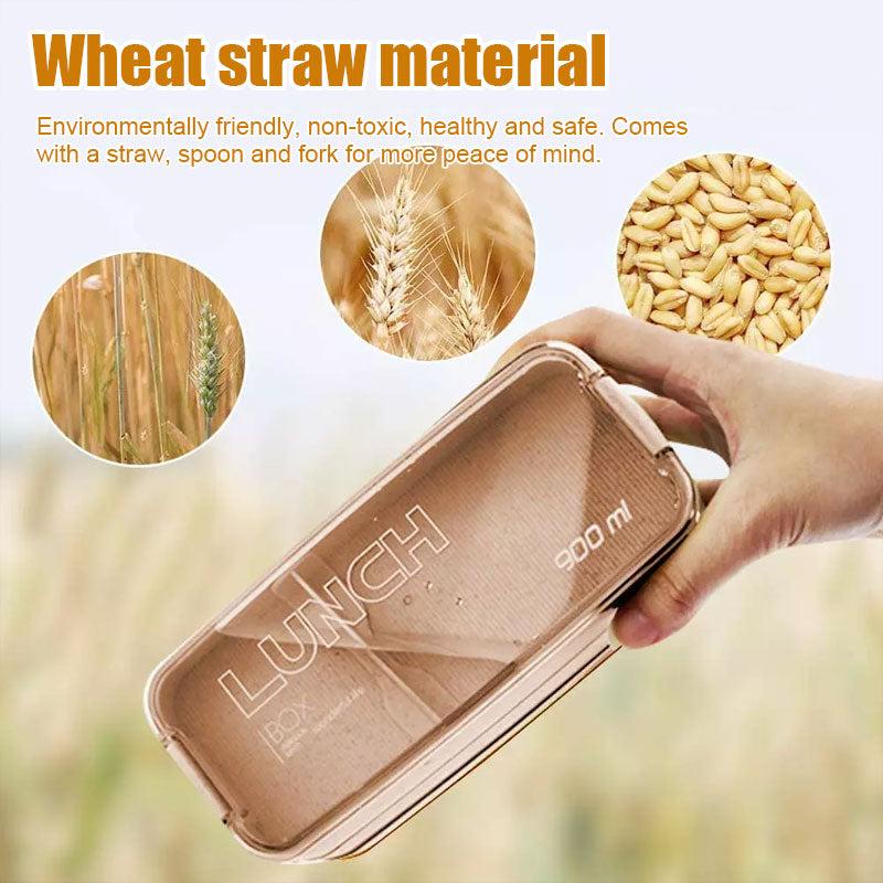 Healthy Lunch Box - Light Food Life, Healthy Every Meal