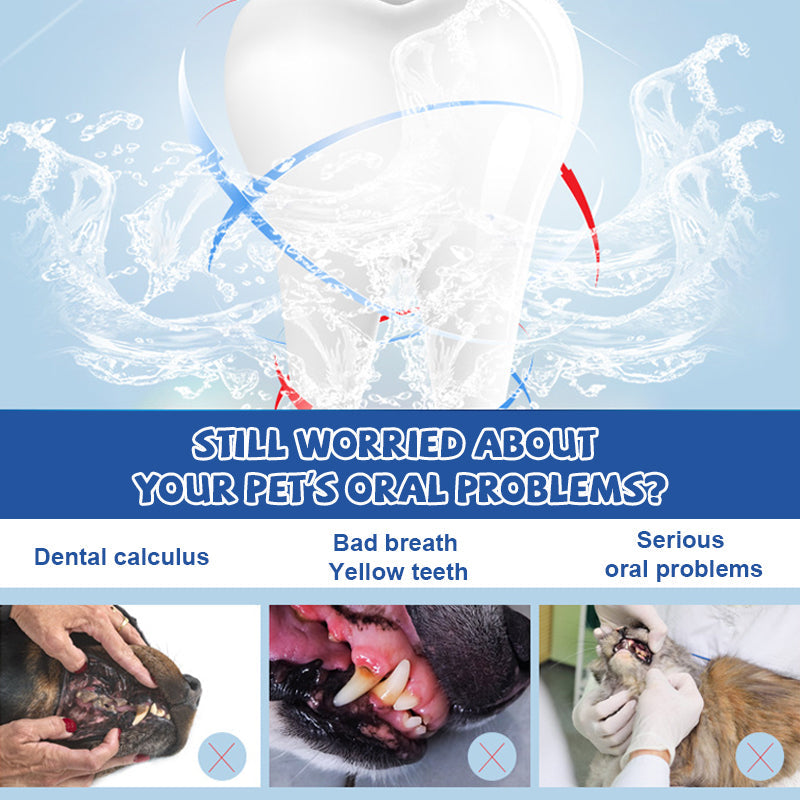 🐕Pet Dental Cleaning Kit