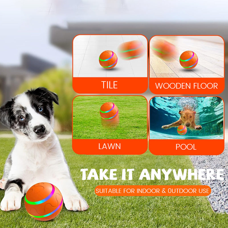 Smart Pet Jumping Ball