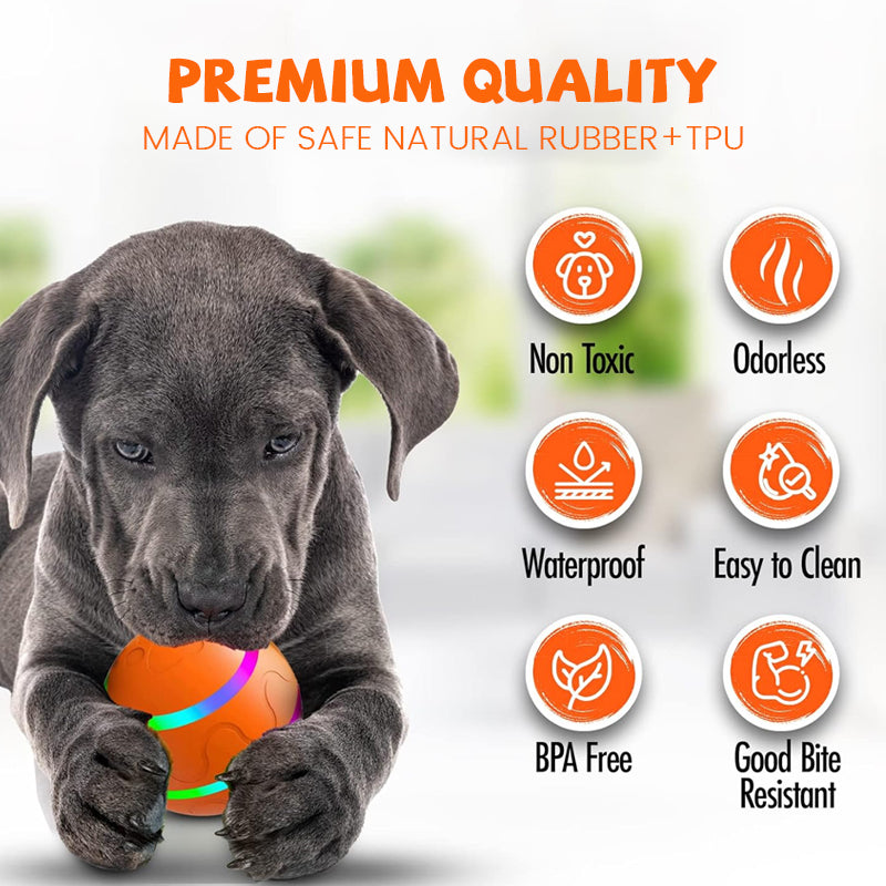 Smart Pet Jumping Ball