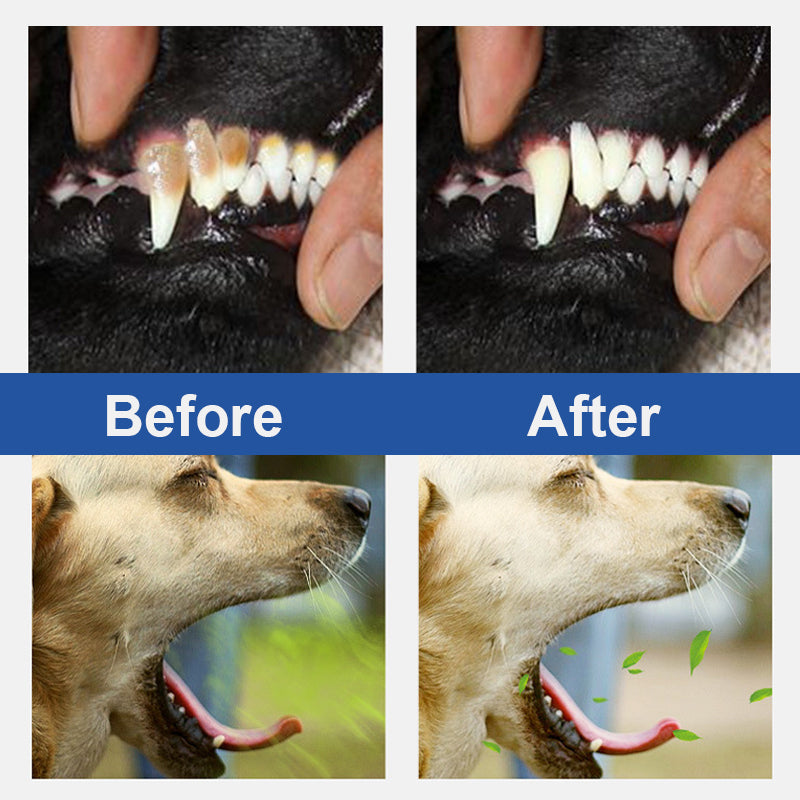 🐕Pet Dental Cleaning Kit