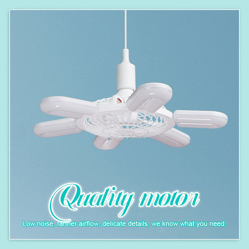 Fan Light