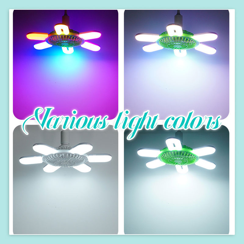 Fan Light