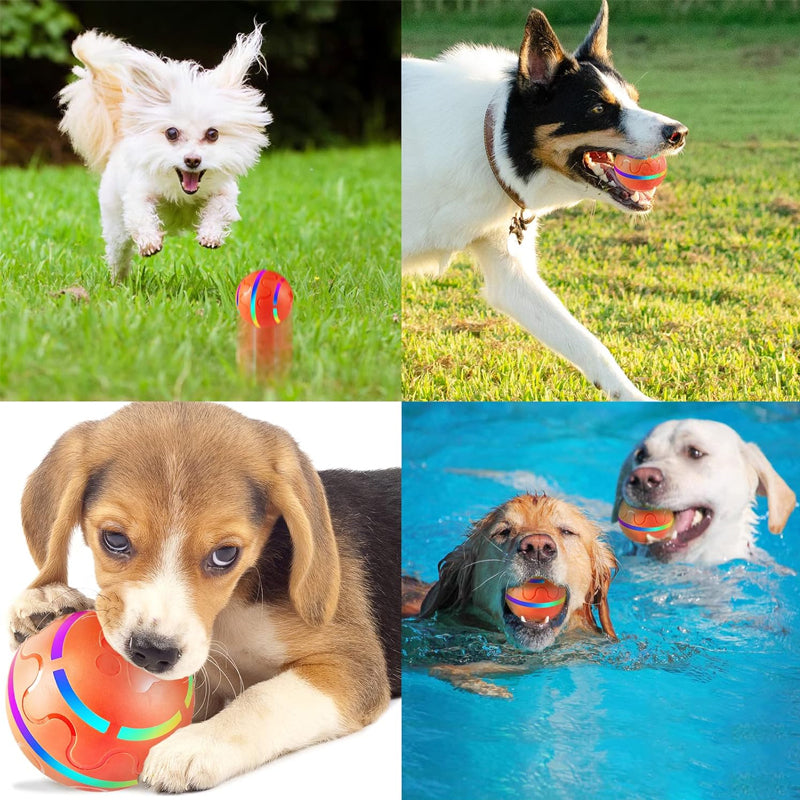 Smart Pet Jumping Ball