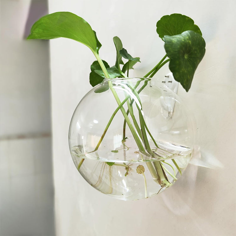 Creative wall-mounted vase