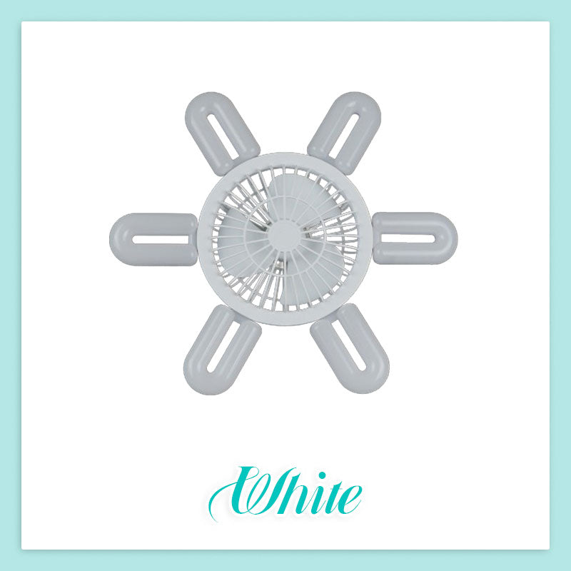 Fan Light
