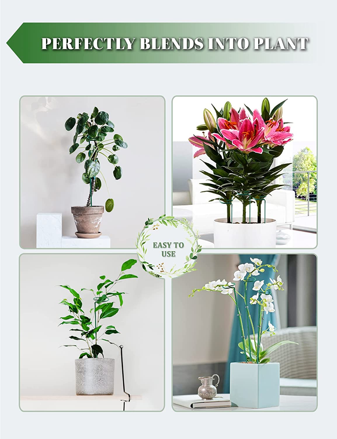 [🎉The Last Day Promotion]  Upgrade Fiberglass Plant Support Stake