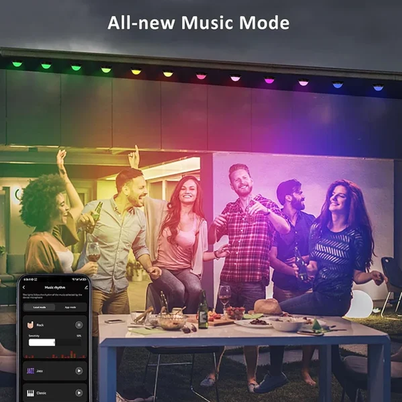 🔥Christmas Sale - Permanent Outdoor Lights