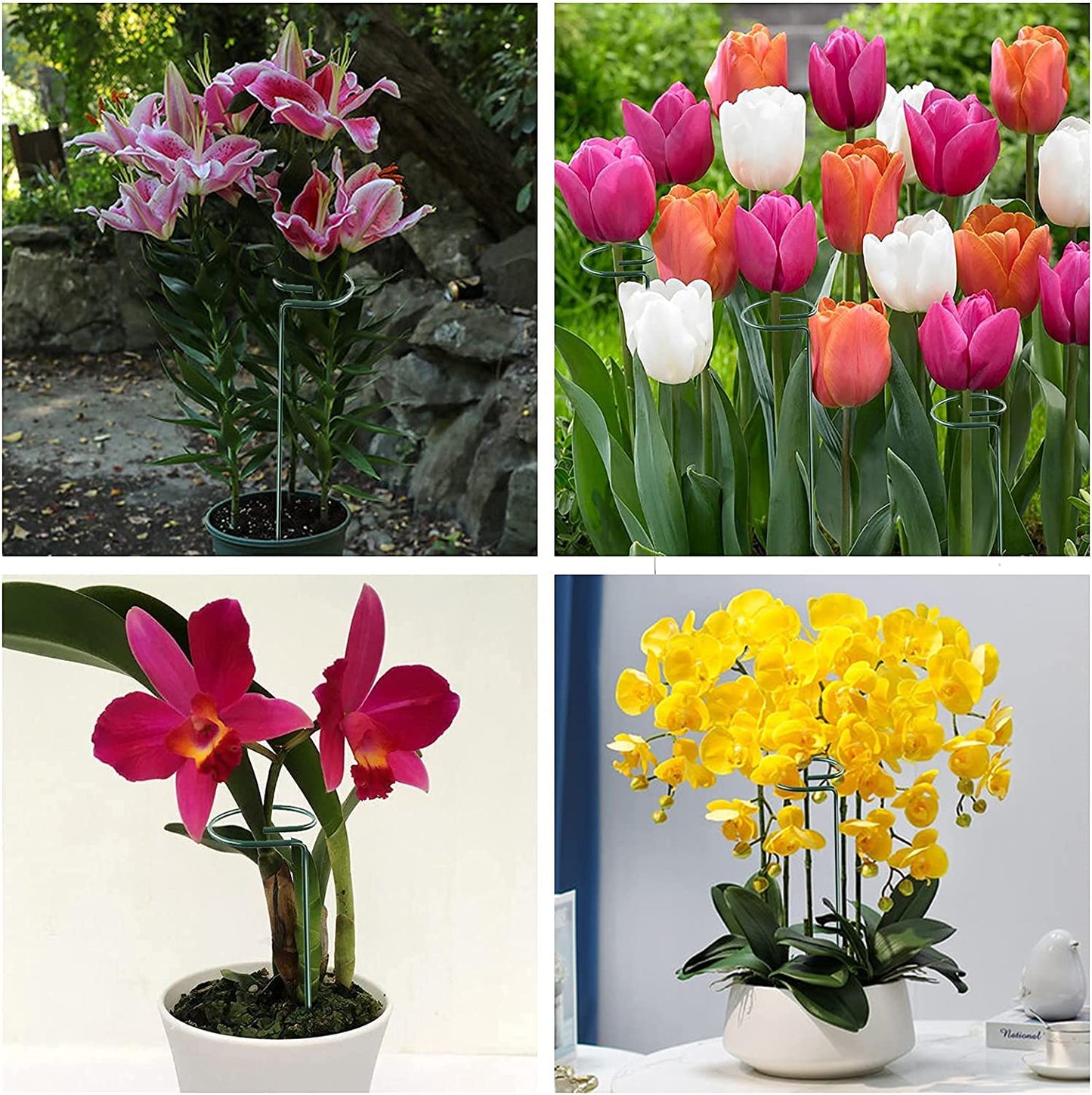 [🎉The Last Day Promotion]  Upgrade Fiberglass Plant Support Stake