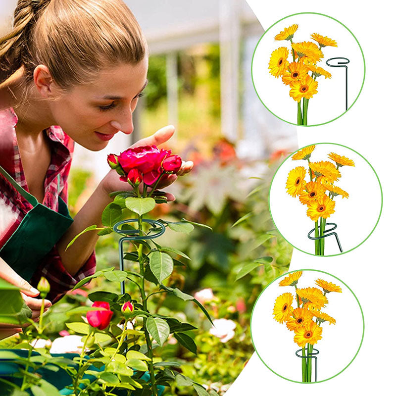 [🎉The Last Day Promotion]  Upgrade Fiberglass Plant Support Stake