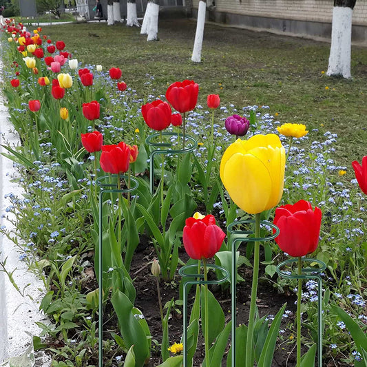 [🎉The Last Day Promotion]  Upgrade Fiberglass Plant Support Stake