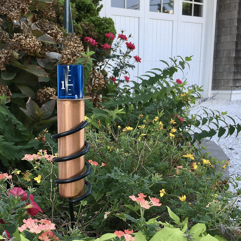 🔥2024 New Year's Special🔥Rain Gauge