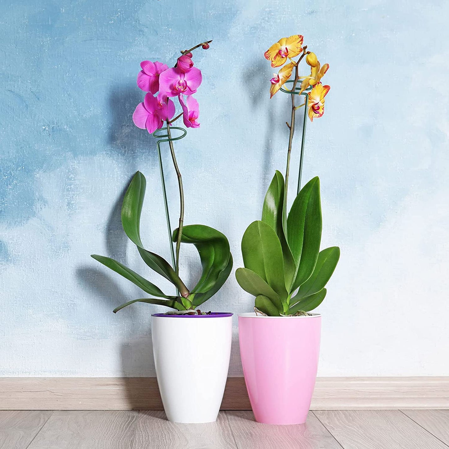 [🎉The Last Day Promotion]  Upgrade Fiberglass Plant Support Stake