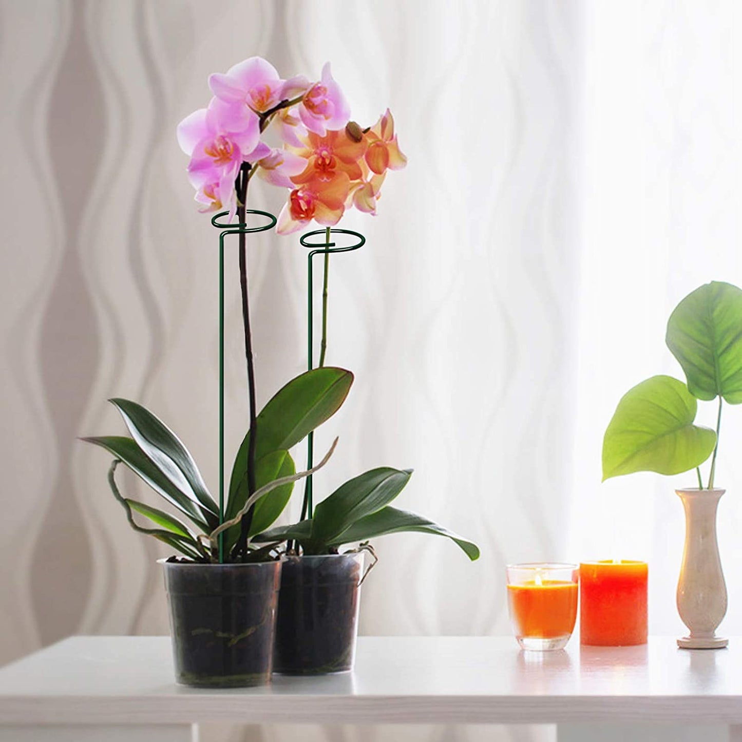 [🎉The Last Day Promotion]  Upgrade Fiberglass Plant Support Stake