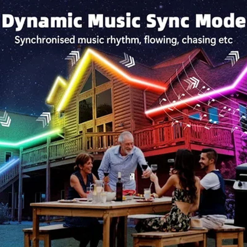 🔥Christmas Sale - Permanent Outdoor Lights